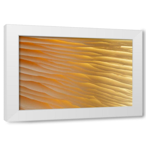 Washington , Seabeck Abstract of mushroom plant White Modern Wood Framed Art Print by Paulson, Don