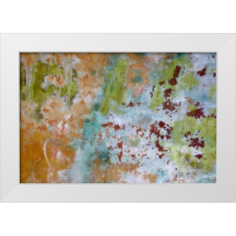 Washington, Fort Hayden Abstract painted wall White Modern Wood Framed Art Print by Paulson, Don