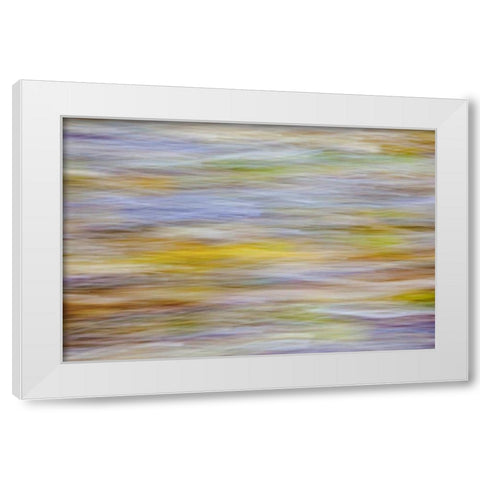 WA, Seabeck Motion blur of fall leaves on beach White Modern Wood Framed Art Print by Paulson, Don