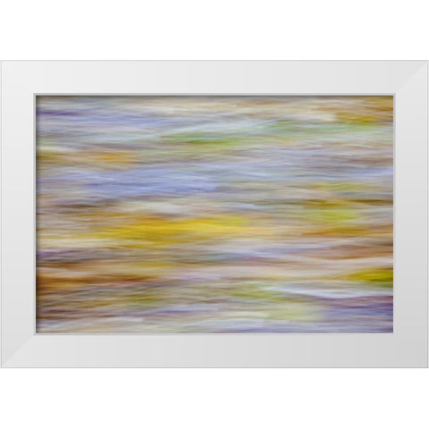 WA, Seabeck Motion blur of fall leaves on beach White Modern Wood Framed Art Print by Paulson, Don