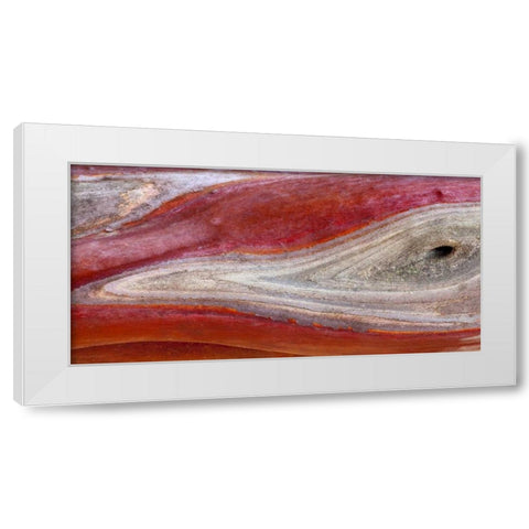 California, Mount Diablo SP Manzanita wood White Modern Wood Framed Art Print by Paulson, Don