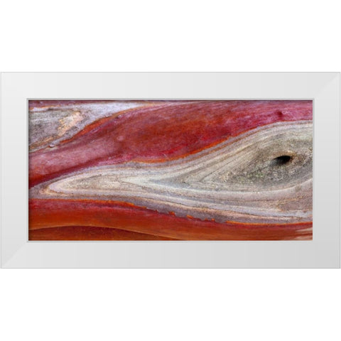 California, Mount Diablo SP Manzanita wood White Modern Wood Framed Art Print by Paulson, Don