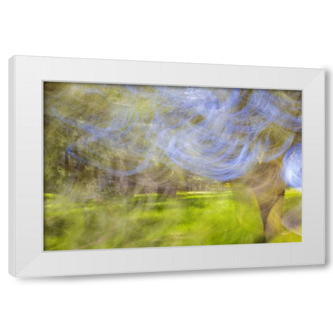 Mexico, Tecate Motion blurred outside abstract White Modern Wood Framed Art Print by Paulson, Don