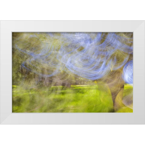 Mexico, Tecate Motion blurred outside abstract White Modern Wood Framed Art Print by Paulson, Don
