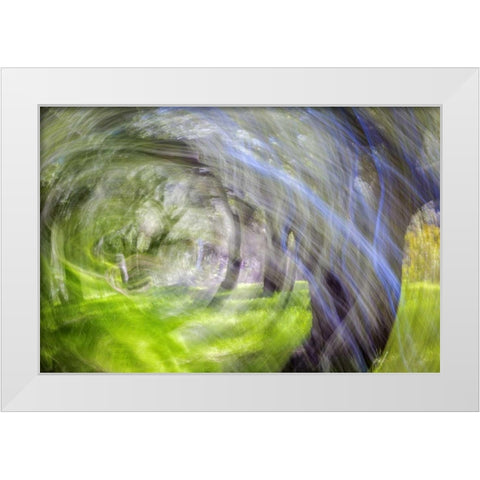 Mexico, Tecate Motion blurred outside abstract White Modern Wood Framed Art Print by Paulson, Don