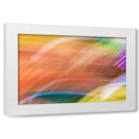 Mexico, Baja California, Tecate Abstract wash White Modern Wood Framed Art Print by Paulson, Don