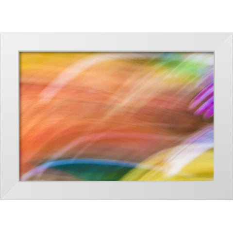 Mexico, Baja California, Tecate Abstract wash White Modern Wood Framed Art Print by Paulson, Don