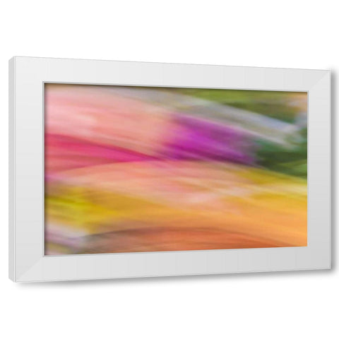 Mexico, Baja California, Tecate Abstract wash White Modern Wood Framed Art Print by Paulson, Don