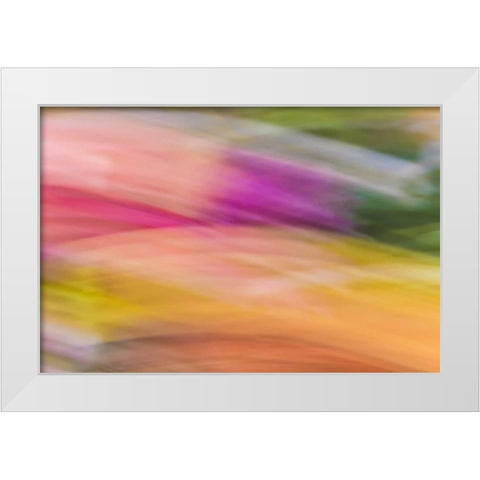 Mexico, Baja California, Tecate Abstract wash White Modern Wood Framed Art Print by Paulson, Don