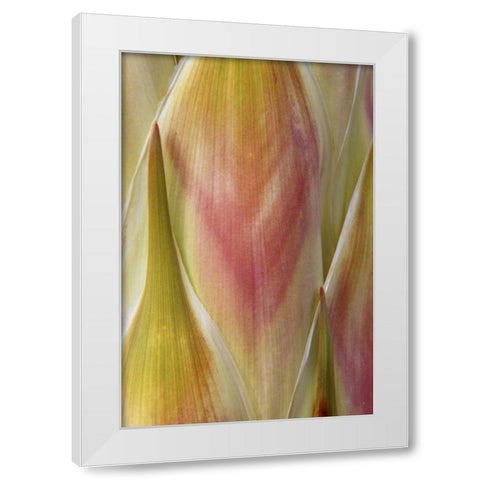 Washington State, Seabeck Flower petals White Modern Wood Framed Art Print by Paulson, Don