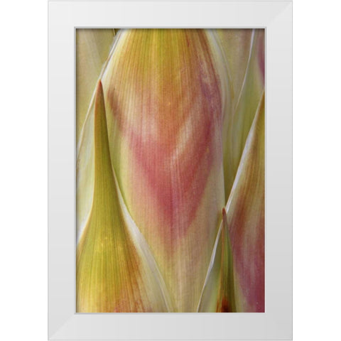 Washington State, Seabeck Flower petals White Modern Wood Framed Art Print by Paulson, Don