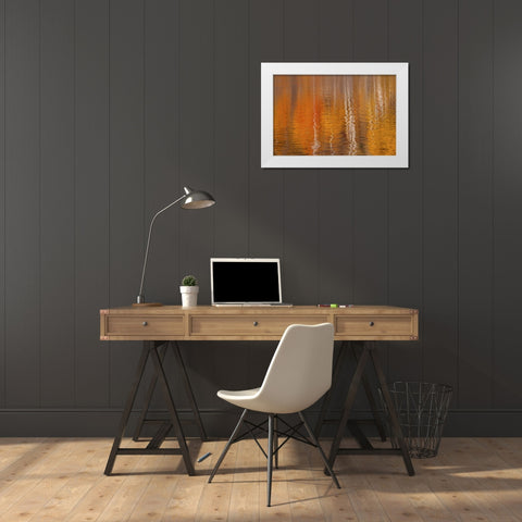 WA, Winthrop Autumn reflections on Beaver Pond White Modern Wood Framed Art Print by Paulson, Don