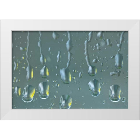 Washington State, Seabeck Raindrops on a window White Modern Wood Framed Art Print by Paulson, Don