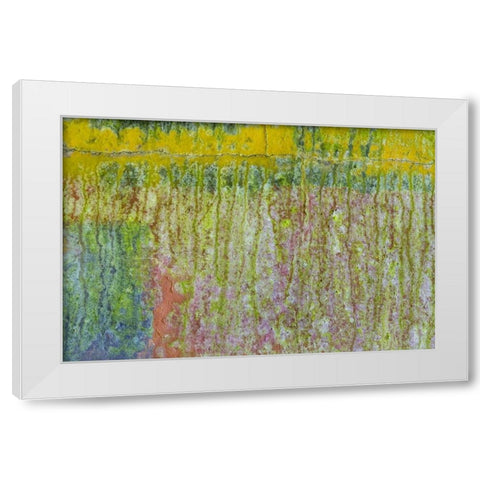 Washington, Fort Hayden Abstract painted wall White Modern Wood Framed Art Print by Paulson, Don