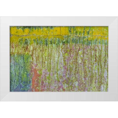 Washington, Fort Hayden Abstract painted wall White Modern Wood Framed Art Print by Paulson, Don