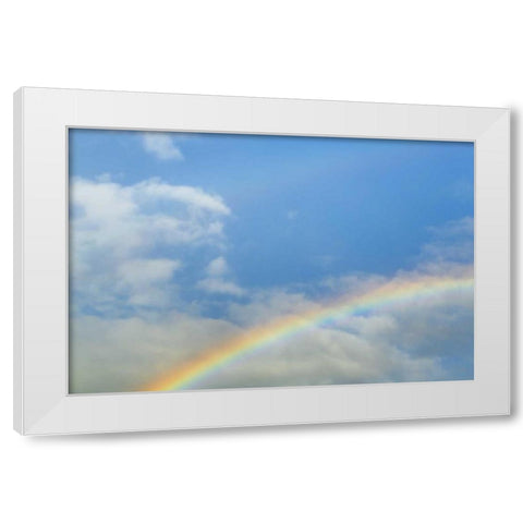Washington, Seabeck Rainbow in light rainfall White Modern Wood Framed Art Print by Paulson, Don