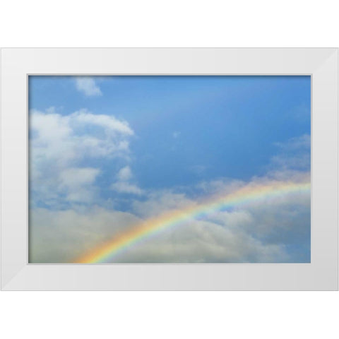 Washington, Seabeck Rainbow in light rainfall White Modern Wood Framed Art Print by Paulson, Don