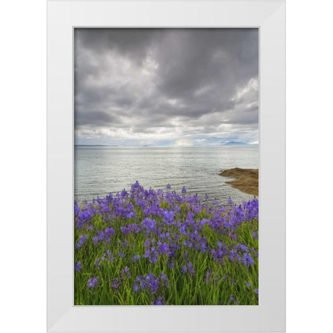 Washington Camas blooms on Sucia Island White Modern Wood Framed Art Print by Paulson, Don