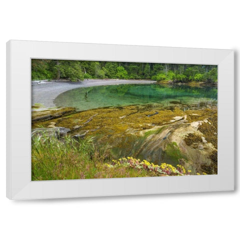 Washington Secluded bay on Sucia Island White Modern Wood Framed Art Print by Paulson, Don