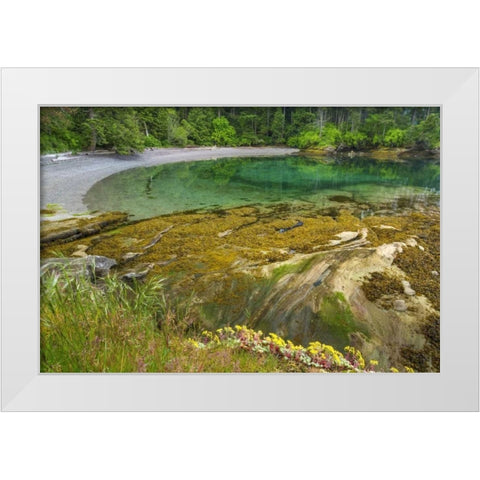 Washington Secluded bay on Sucia Island White Modern Wood Framed Art Print by Paulson, Don