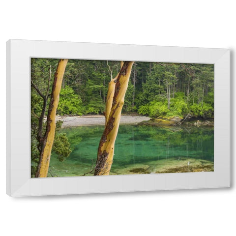 Washington Secluded bay on Sucia Island White Modern Wood Framed Art Print by Paulson, Don