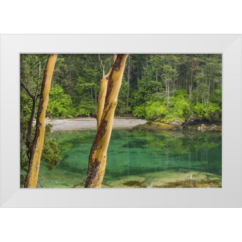 Washington Secluded bay on Sucia Island White Modern Wood Framed Art Print by Paulson, Don