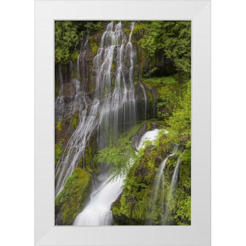Washington Spring Panther Creek Waterfall White Modern Wood Framed Art Print by Paulson, Don
