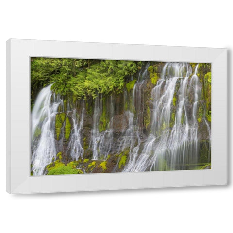 Washington Spring Panther Creek Waterfall White Modern Wood Framed Art Print by Paulson, Don