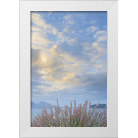 Washington, Seabeck Pennisetum ornamental grass White Modern Wood Framed Art Print by Paulson, Don