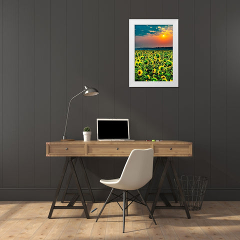 Washington State-Pasco Misty dawn morning on a sunflower fieldin Central Washington White Modern Wood Framed Art Print by Duval, Richard