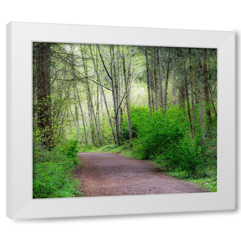 USA-Washington State-Pacific Northwest Sammamish trail along Yellow Lake White Modern Wood Framed Art Print by Gulin, Sylvia