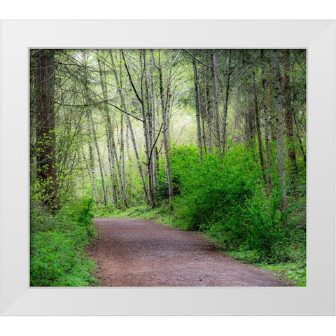 USA-Washington State-Pacific Northwest Sammamish trail along Yellow Lake White Modern Wood Framed Art Print by Gulin, Sylvia