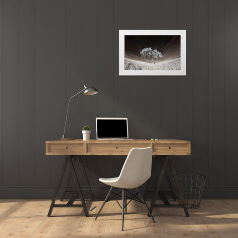 Lone tree in field of harvested wheat White Modern Wood Framed Art Print by Eggers, Terry