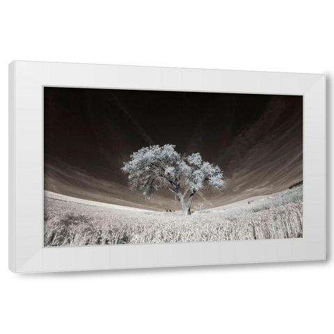 Lone tree in field of harvested wheat White Modern Wood Framed Art Print by Eggers, Terry