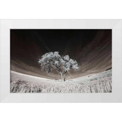 Lone tree in field of harvested wheat White Modern Wood Framed Art Print by Eggers, Terry