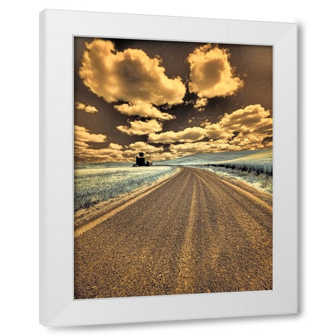 USA-Washington State-Palouse-Country backroad through spring crops White Modern Wood Framed Art Print by Eggers, Terry