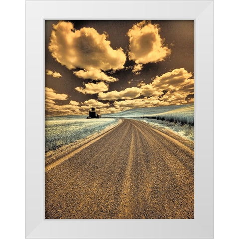 USA-Washington State-Palouse-Country backroad through spring crops White Modern Wood Framed Art Print by Eggers, Terry