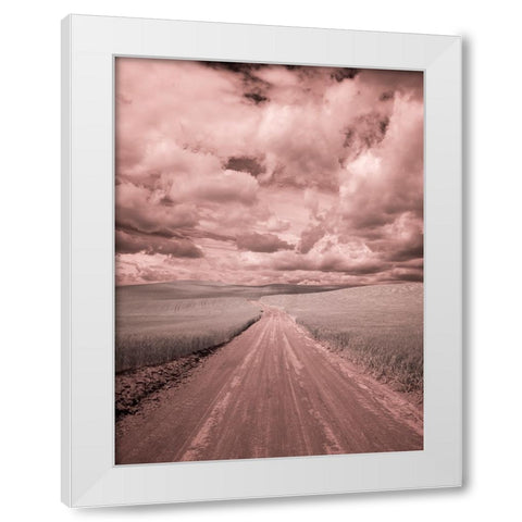 USA-Washington State-Palouse-Country backroad through spring crops White Modern Wood Framed Art Print by Eggers, Terry