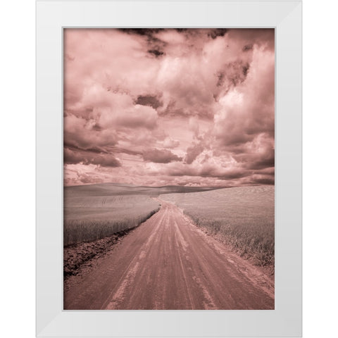 USA-Washington State-Palouse-Country backroad through spring crops White Modern Wood Framed Art Print by Eggers, Terry