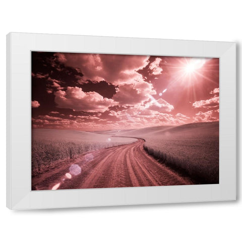 USA-Washington State-Palouse-Country backroad through spring crops White Modern Wood Framed Art Print by Eggers, Terry