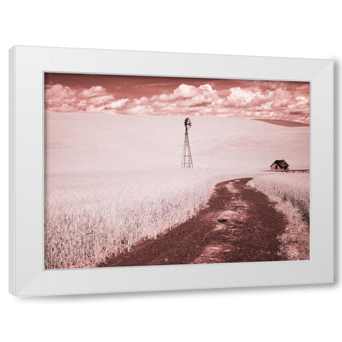 USA-Washington State-Palouse-Backroad through wheat field White Modern Wood Framed Art Print by Eggers, Terry