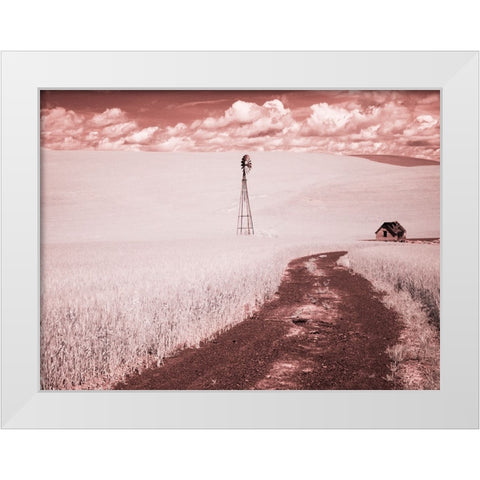 USA-Washington State-Palouse-Backroad through wheat field White Modern Wood Framed Art Print by Eggers, Terry