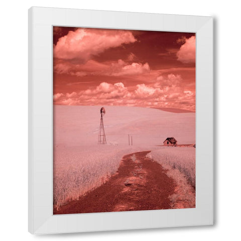 USA-Washington State-Palouse-Backroad through wheat field White Modern Wood Framed Art Print by Eggers, Terry
