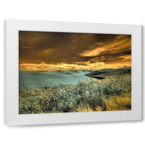 USA-Washington State-Palouse-Spring Poppies and Backcountry road through wheat field and clouds White Modern Wood Framed Art Print by Eggers, Terry