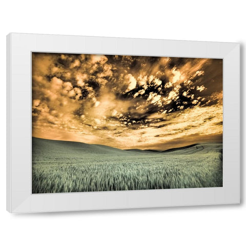 USA-Washington State-Palouse-wheat field and clouds White Modern Wood Framed Art Print by Eggers, Terry