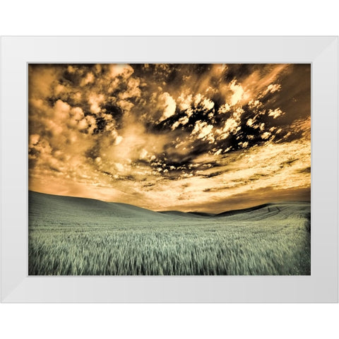 USA-Washington State-Palouse-wheat field and clouds White Modern Wood Framed Art Print by Eggers, Terry