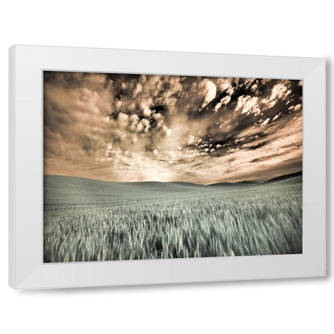 USA-Washington State-Palouse-wheat field and clouds White Modern Wood Framed Art Print by Eggers, Terry