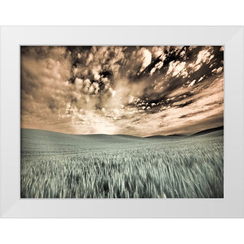 USA-Washington State-Palouse-wheat field and clouds White Modern Wood Framed Art Print by Eggers, Terry