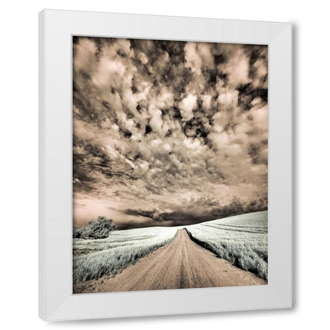 USA-Washington State-Palouse-Backcountry road through wheat field and clouds White Modern Wood Framed Art Print by Eggers, Terry