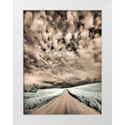 USA-Washington State-Palouse-Backcountry road through wheat field and clouds White Modern Wood Framed Art Print by Eggers, Terry